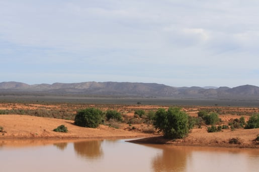 Caroona_Dam.jpg