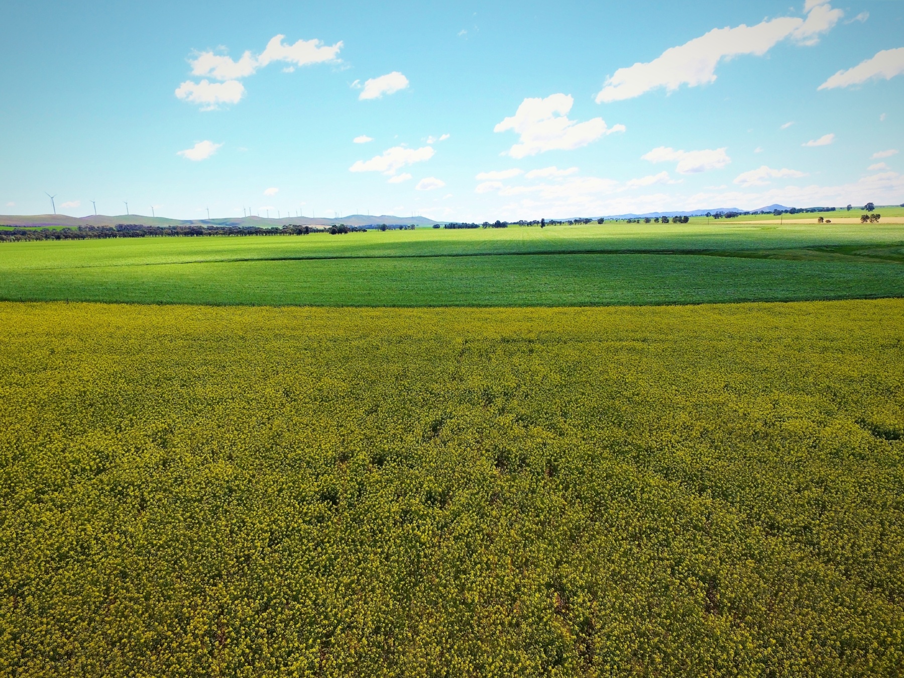 Mackerode_2017_Burra SA-214108-edited-434315-edited