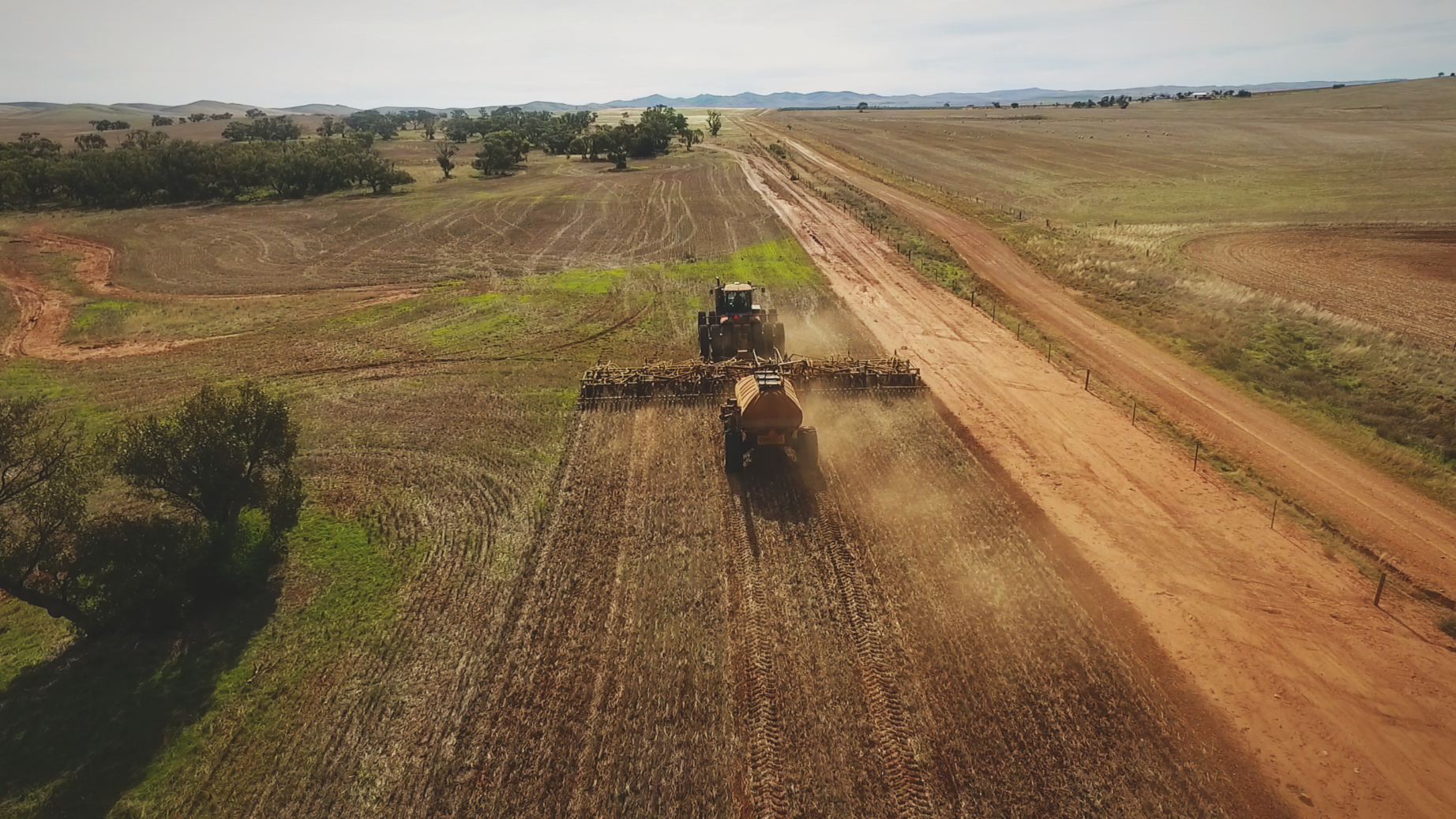 Seeding - Princess Royal Station - 2017