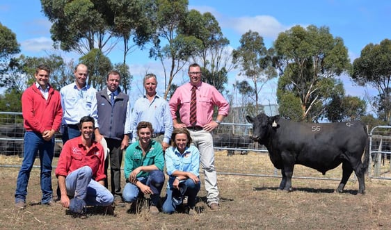 ROYAL APPROVAL: Buyers Jack Rowe and Luke Bavistock, auctioneer Jono Spence, Mark Gubbins, auctioneer Ross Milne and (front) Martin Beltrame, Max and Anna Gubbins, with the $15,500 sale-topper.