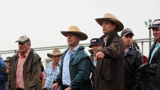 Luke Bavistock & Jody Darcy - The Stock Journal.jpg