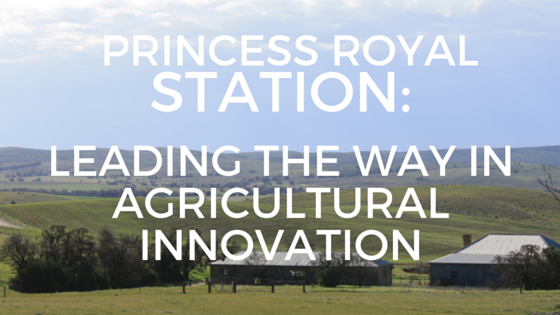 Princess Royal Station