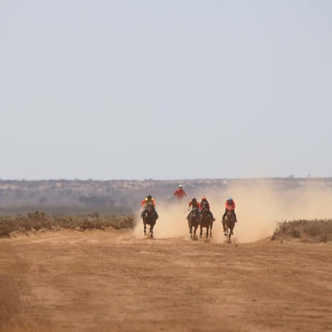 Princess Royal is proud to be a part of the Burra Picnic Races 