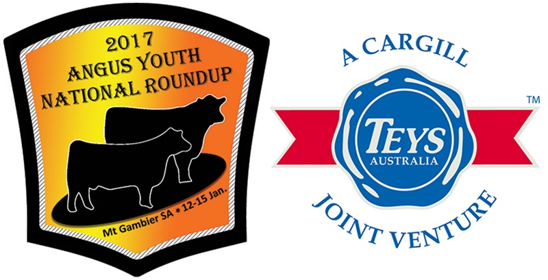RoundUp-Teys-Sponsor.jpg