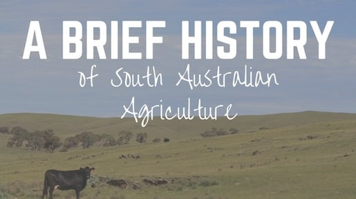 A Brief History of South Australian Agriculture.jpg