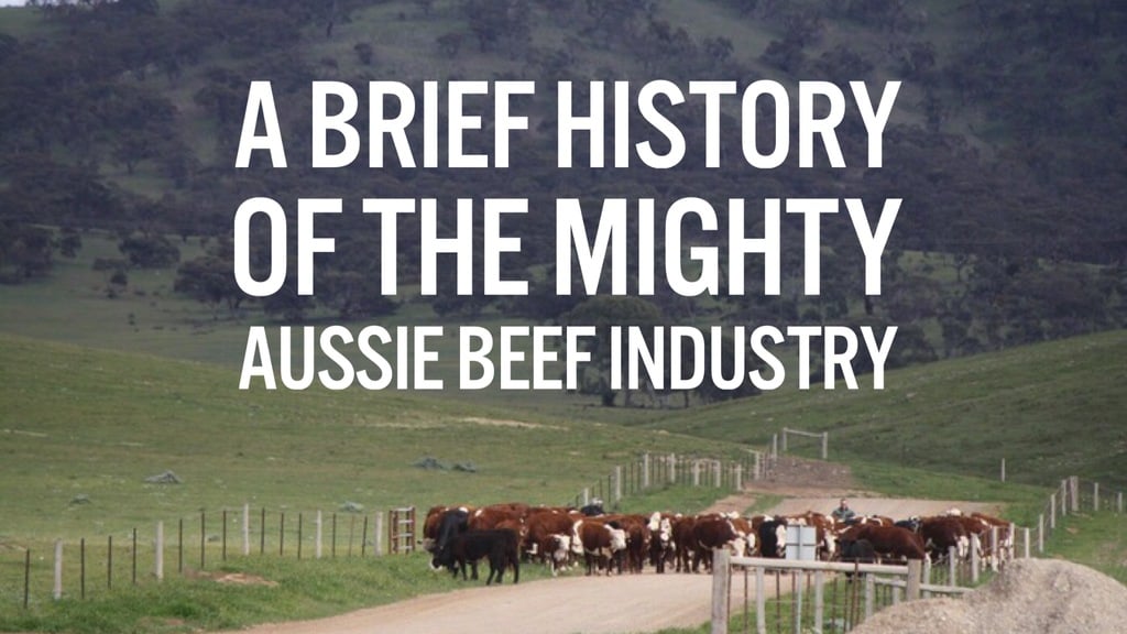 A Brief History of Beef