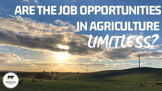 Are the job opportunities in Agriculture limitless_