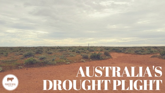 Australia's Drought Plight
