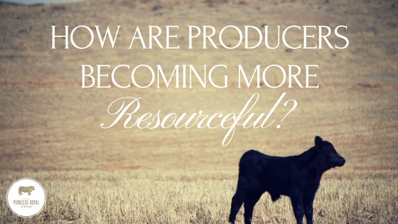 How are producers becoming more resourceful