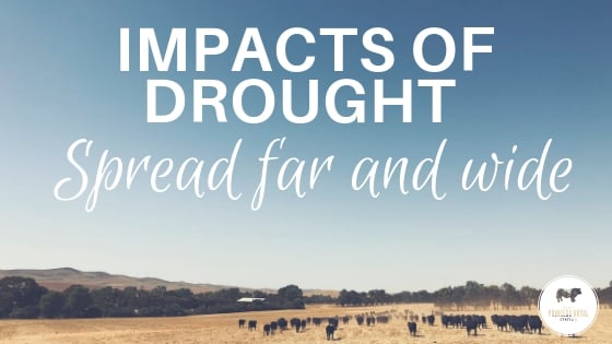 Impact of drought spread far and wide