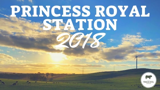 Princess Royal Station 2018 (1)