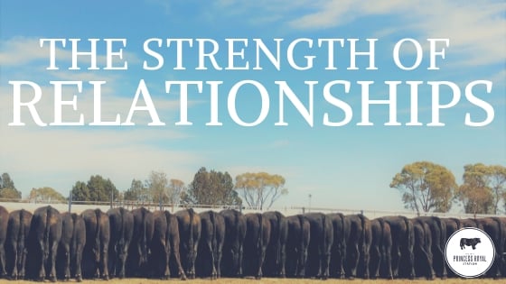 The strength of relationships 2