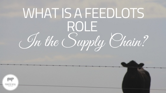 What is a feedlot's role in the supply chain_ (1)