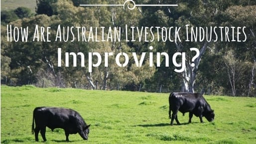 Why is Safety Important for Australian Farmers-2.jpg