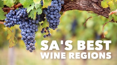 South Australia's Best Wine Regions