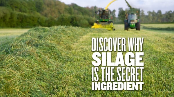 silage2
