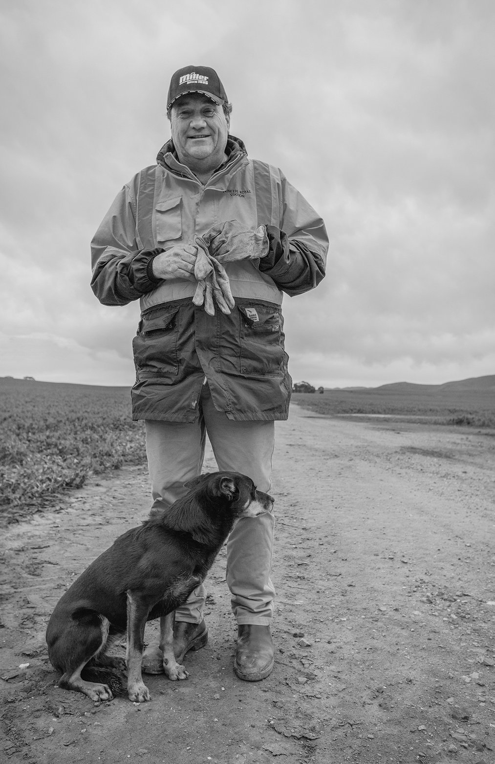 The Australian Kelpie