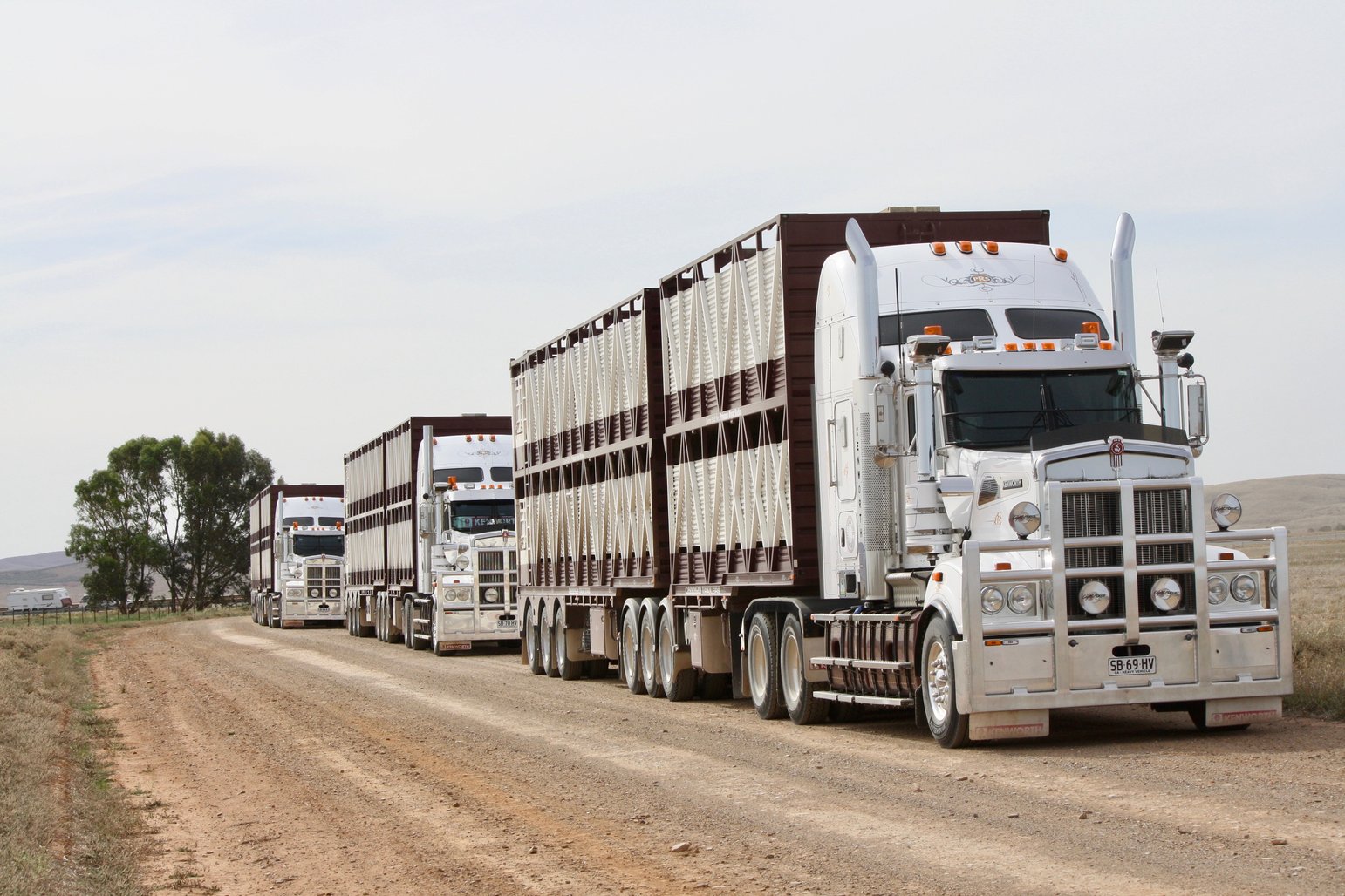Are there Animal Welfare Standards for the Land Transport of Livestock?
