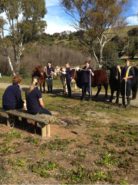Princess Royal and the Burra Community School Agriculture Program