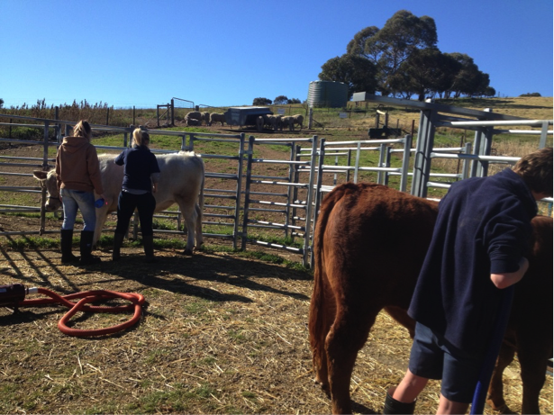 Princess Royal and the Burra Community School Agriculture Program