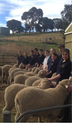 Princess Royal and the Burra Community School Agriculture Program