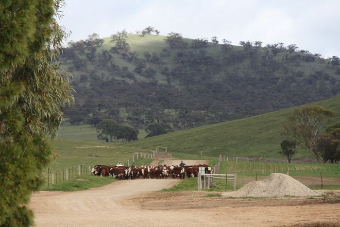 Princess Royal Station