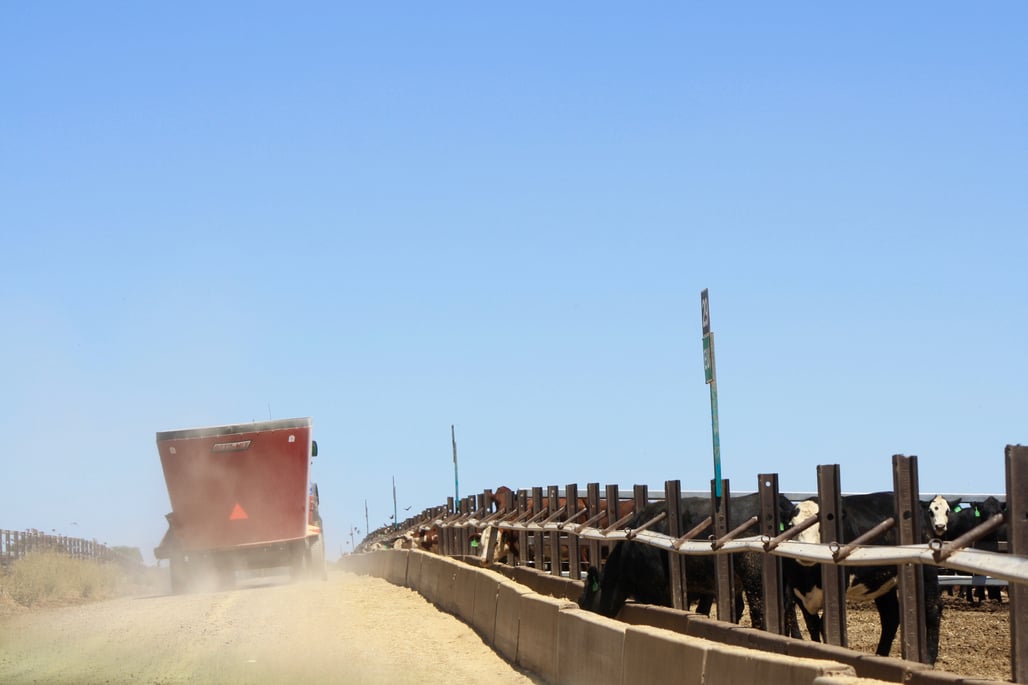 How do Feedlots Minimise their Impact?