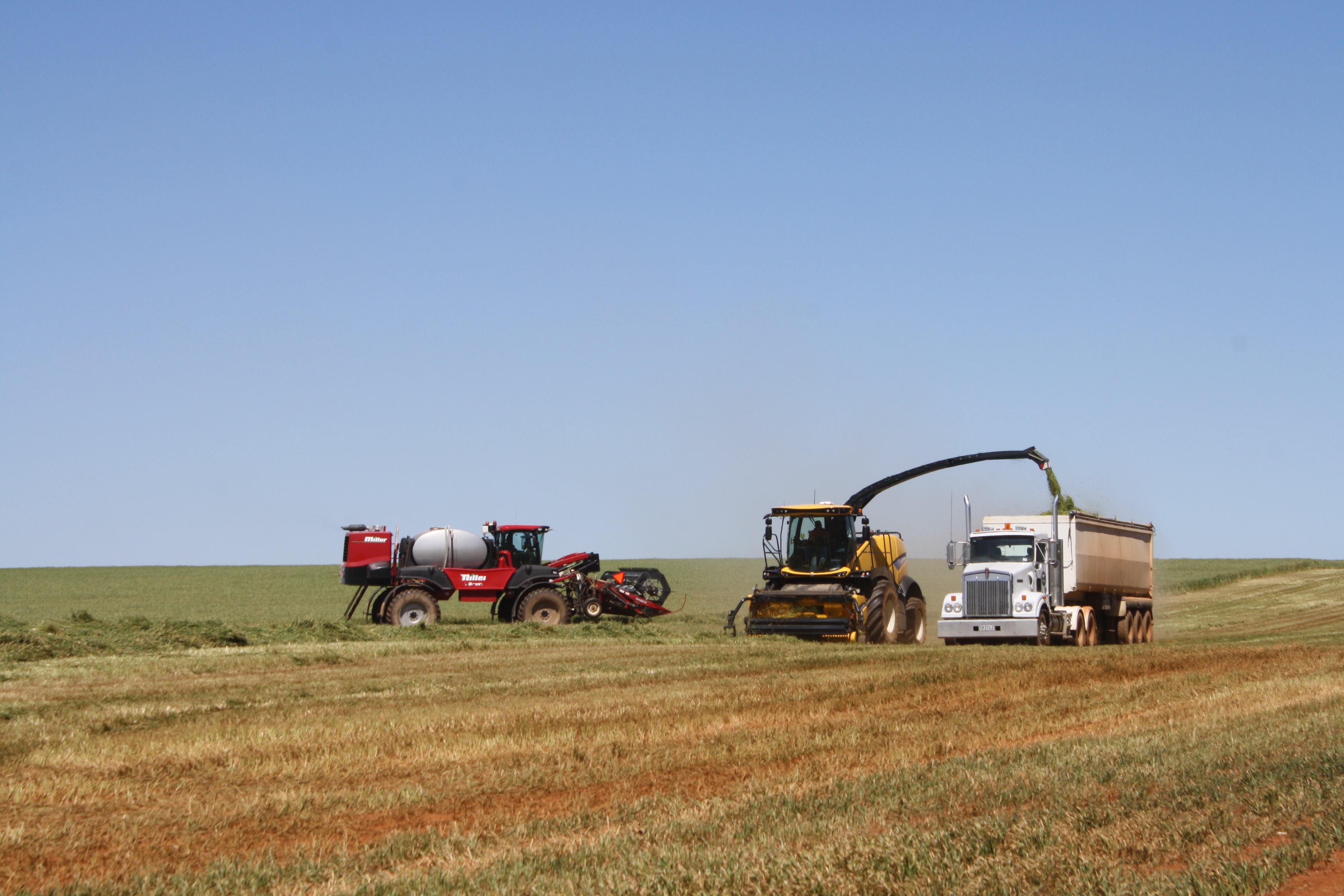 Silage 2018