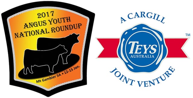 RoundUp-Teys-Sponsor.jpg