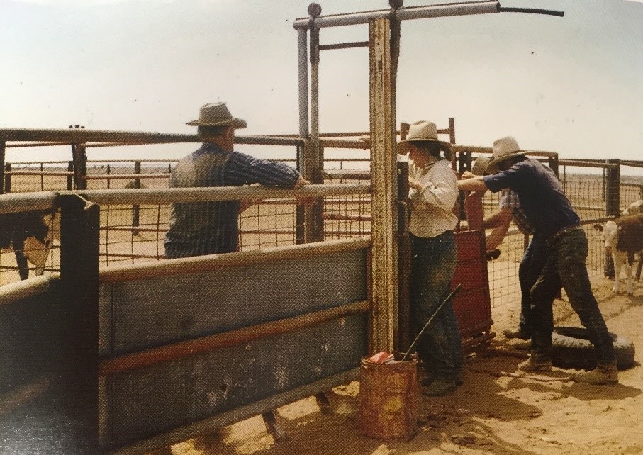 Wertaloona, Nigel Austin, The Great Cattle Trader-1-3