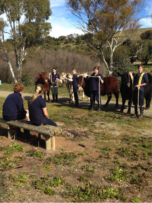 Burra Community School