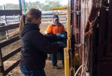 Australian Women in Agriculture