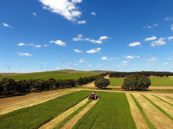 Princess Royal Station, Burra, SA Silage