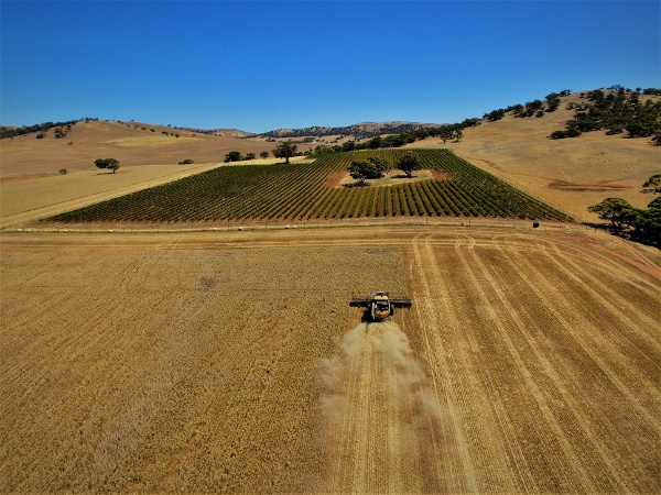 Princess Royal Station, Burra, SA Harvest