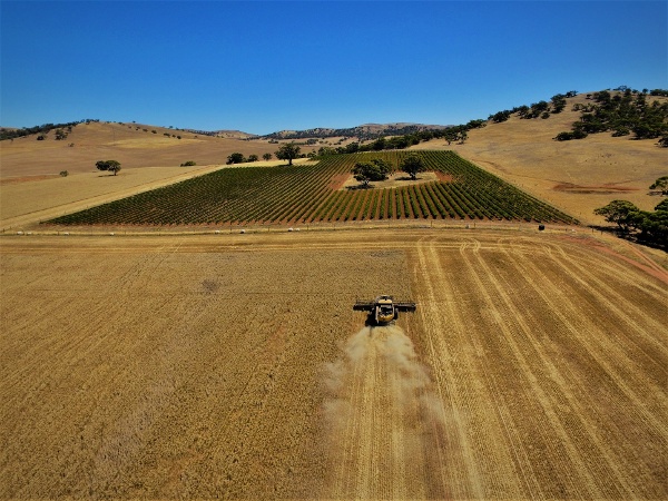 Princess Royal Station, Burra, SA Harvest