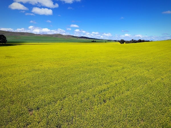 Princess Royal Station Burra, SA .jpg