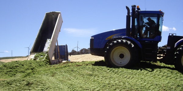 Princess Royal Station, Burra, SA Silage