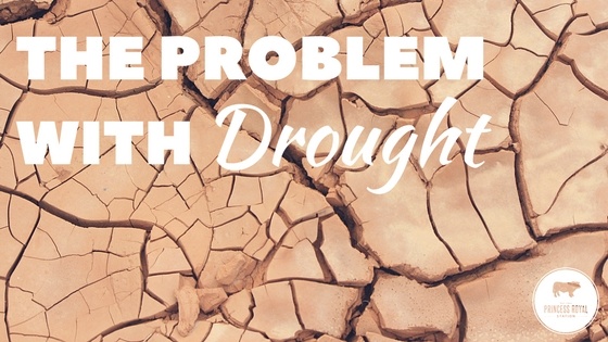 The problem with drought.jpg