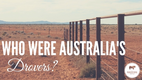 Who were Australia's Drovers_ V2.jpg