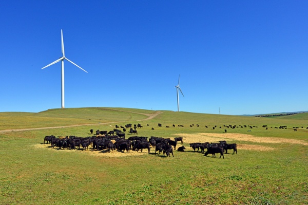 Princess Royal Station _ Burra, SA .jpg