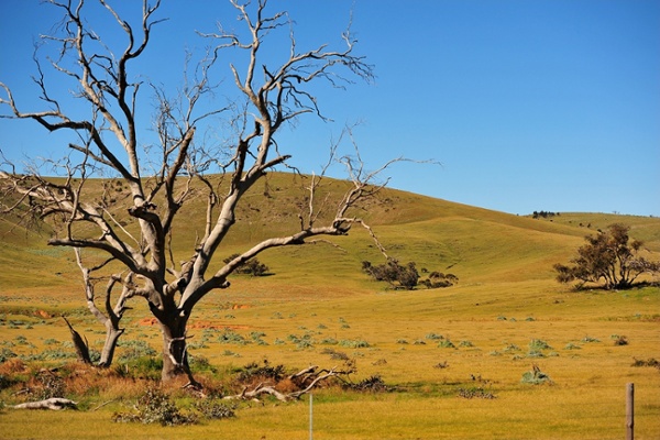 Princess Royal Station Burra SA .jpg