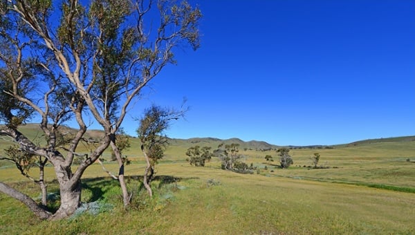 Princess Royal Station Burra SA.jpg