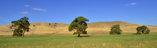 Princess Royal Station Burra.jpg