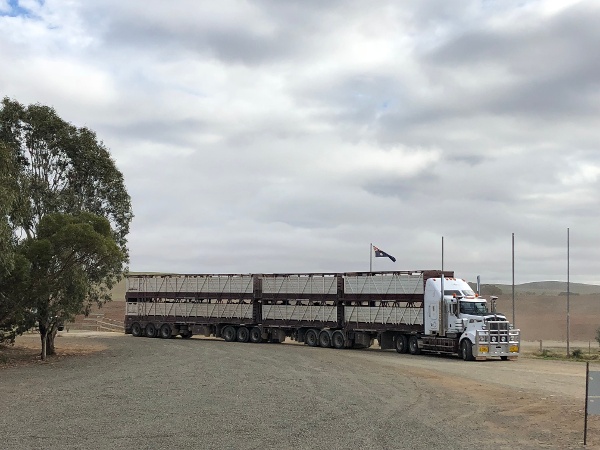 Princess Royal Station _ Road Train-1.jpg