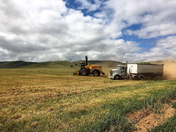 silage Princess Royal Station, Burra, SA